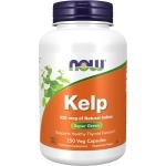 Kelp